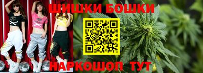 ешки Гатчина