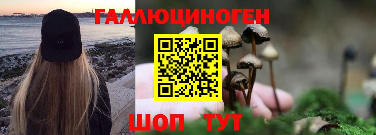 Псилоцибиновые грибы мухоморы  Вход с VPN  Мурино 